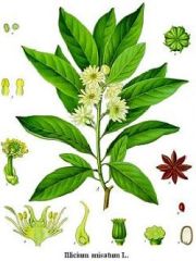 anise