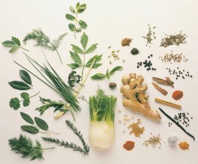 Herbs for medicinal use