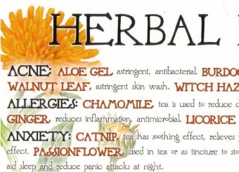 Herbal Remedy Chart