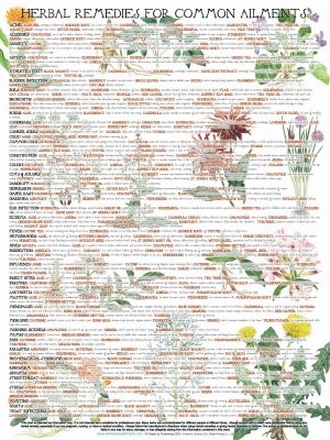 Remedies Chart